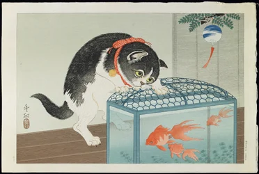 Gatto e pesce rosso, anni 